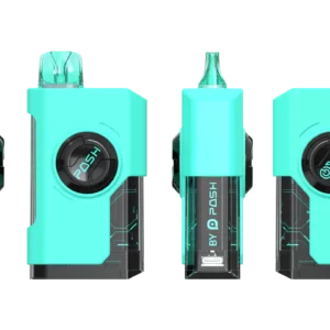 Oyo 30000 Puffs Disposable